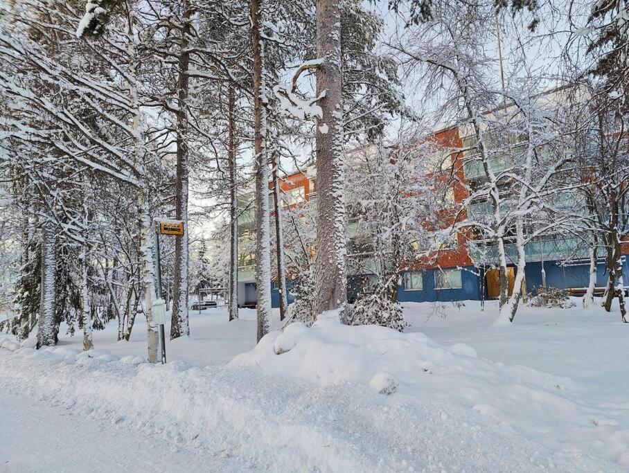 Spacious Apartment With Balcony And Free Wifi Рованіемі Екстер'єр фото